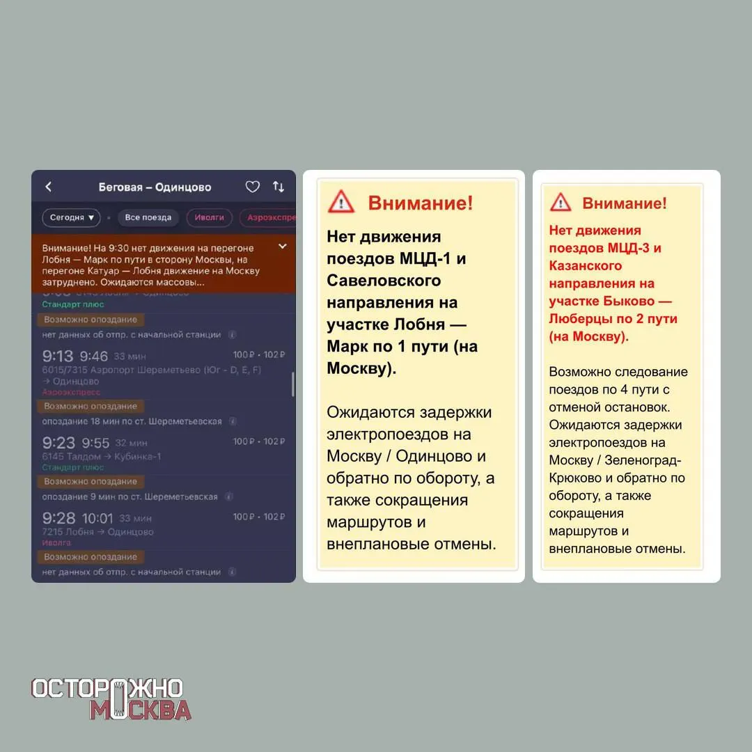 Сильный снегопад привёл к авариям и повреждениям инфраструктуры: на трассе Зарайск—Луховицы в столкновении с грузовиком погибли два человека, в Москве и Подмосковье зафиксированы пострадавшие, падение деревьев повредило линии электропередачи и вызвало задержки поездов.