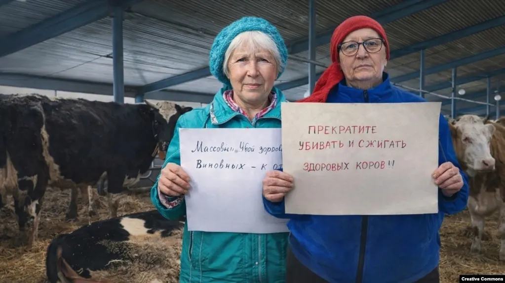 Глава минсельхоза Новосибирской области Андрей Шинделов лишился должности на фоне претензий к работе ведомства и резонанса вокруг массового изъятия и забоя крупного рогатого скота в ряде регионов России.