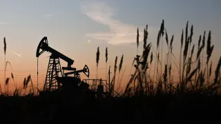 Доля нефтегазового сектора в российском ВВП в прошлом году снизилась до 13% — минимума за последние годы. Прибыль компаний и нефтегазовые доходы бюджета сократились, а инвестиции в добычу рухнули на фоне санкций, ограничений ОПЕК+ и слабого инвестиционного климата.