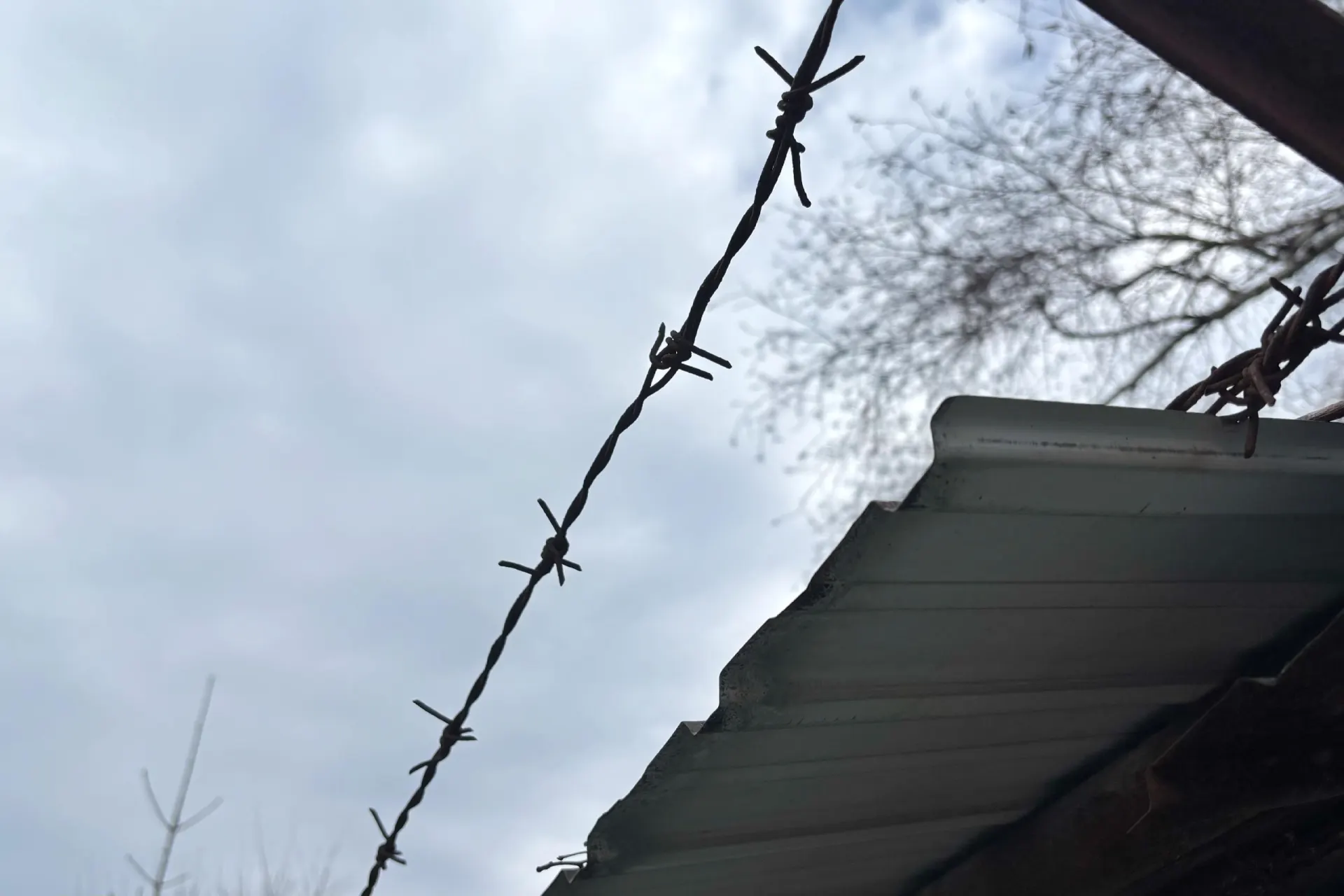 Женщина из Рязани, по версии следствия, нанесла сожителю несколько ножевых ранений в голову; суд поместил её под стражу.