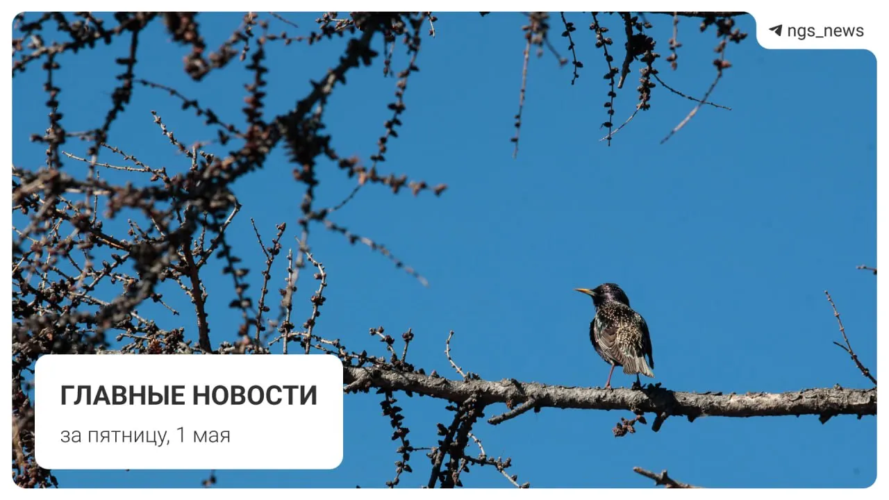 Коротко за 1 мая: в детской спортивной школе в Татарске упал потолок, пострадавших нет. Также в выпуске — новость о старых вагонах на Дзержинской, сроки запуска фонтана в Центральном парке, первомайское шествие и погром на площади Маркса.