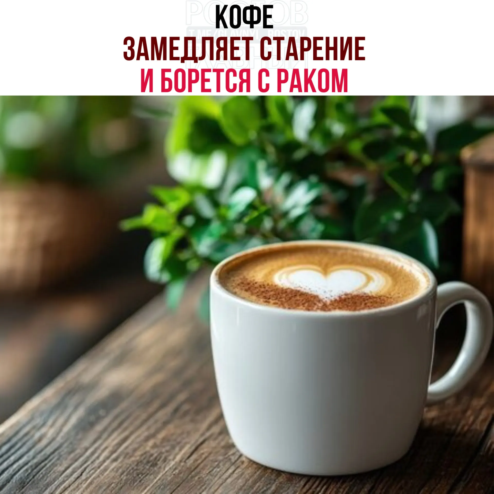 Исследователи обнаружили в зёрнах кофе кислоты и полифенолы, усиливающие работу белка NR4A1 — это снижает воспаление, ускоряет восстановление тканей и замедляет рост раковых клеток.