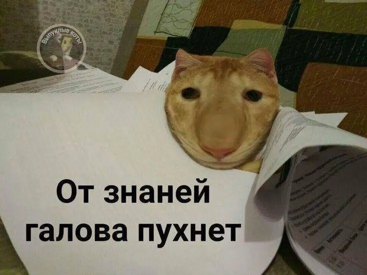 Минспорт анонсировал ввод тестового испытания по управлению небольшим дроном в программе ГТО уже в этом году; знак по этому нормативу может дать до 10 баллов к результатам выпускника.