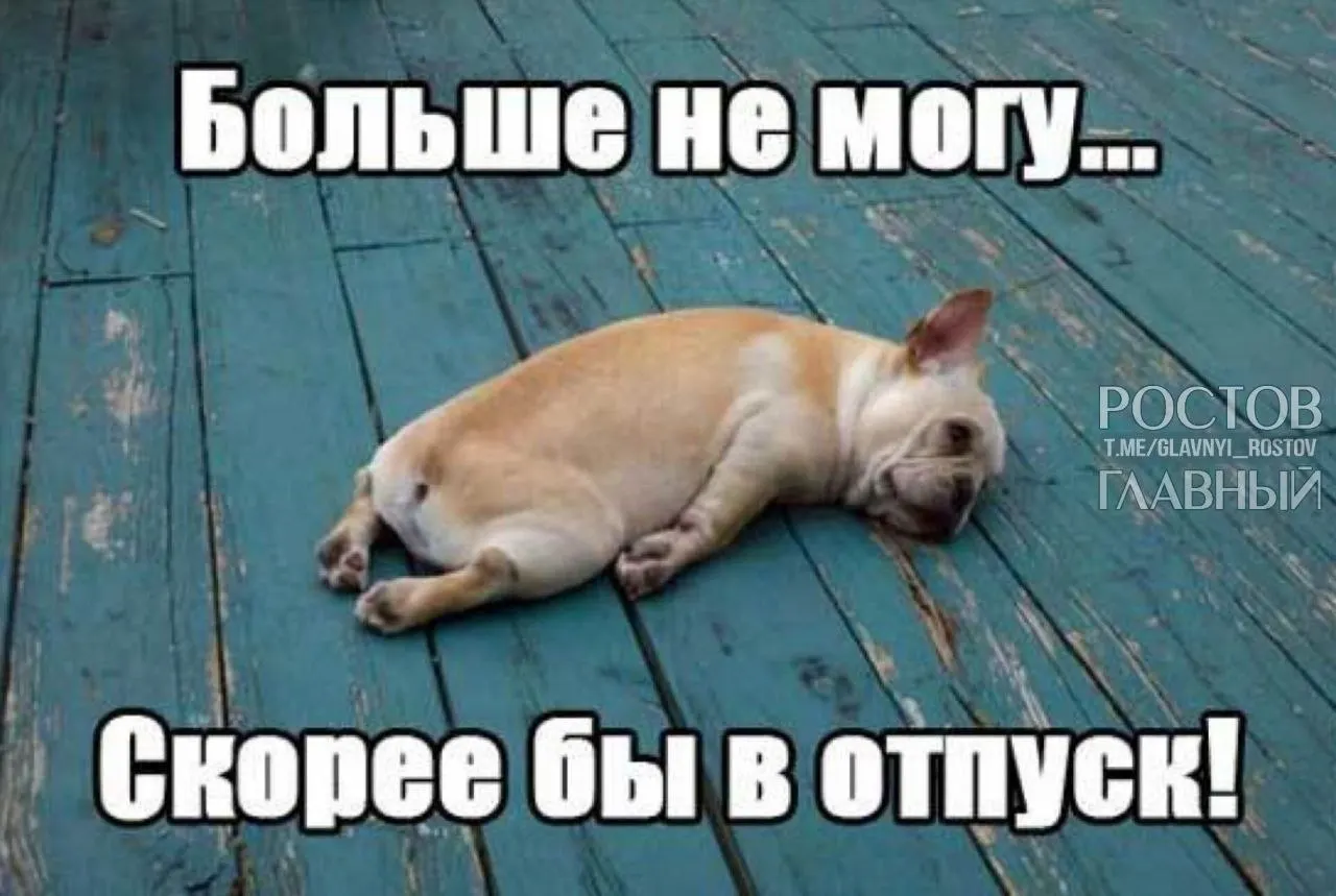 В Госдуме предложили повысить минимальную продолжительность ежегодного отпуска до 35 дней — чтобы компенсировать выходные, которые сейчас включены в отпуск, и снизить риск профессионального выгорания.