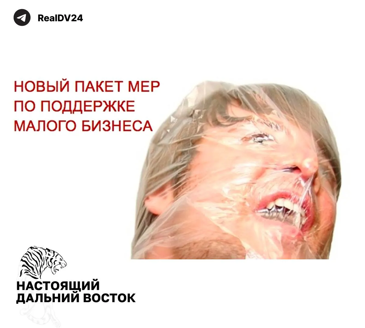 Федеральная налоговая служба направила регионам рекомендации по увеличению налоговых поступлений: расширение базы налогообложения недвижимости, повышение транспортного налога, пересмотр льгот и усиление контроля за землепользованием.