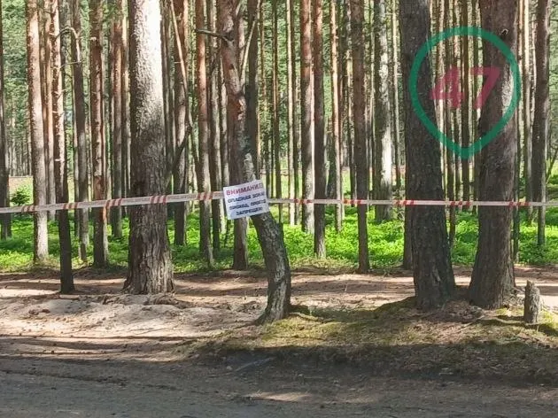 После ночной атаки беспилотников на участок дороги 41А-007 и прилегающую железнодорожную ветку в Ленобласти продолжают работы по разминированию. Ограничено автосообщение и движение электричек, часть жителей эвакуировали и затем вернули домой.