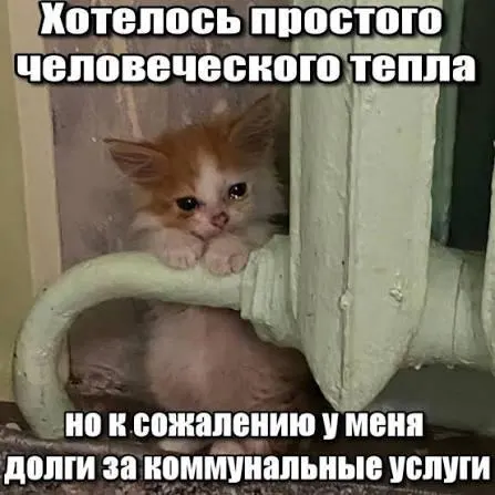 ВС постановил, что срок исковой давности (три года) защищает должников от принудительного взыскания старых долгов за капитальный ремонт. Решение важно для покупателей вторичного жилья и наследников.