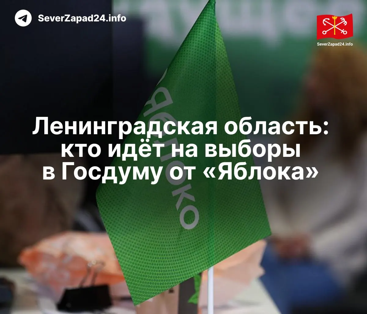 Партия «Яблоко» опубликовала полный список кандидатов на выборы в Госдуму: федеральный список, региональные группы и данные по одномандатным округам Ленинградской области.
