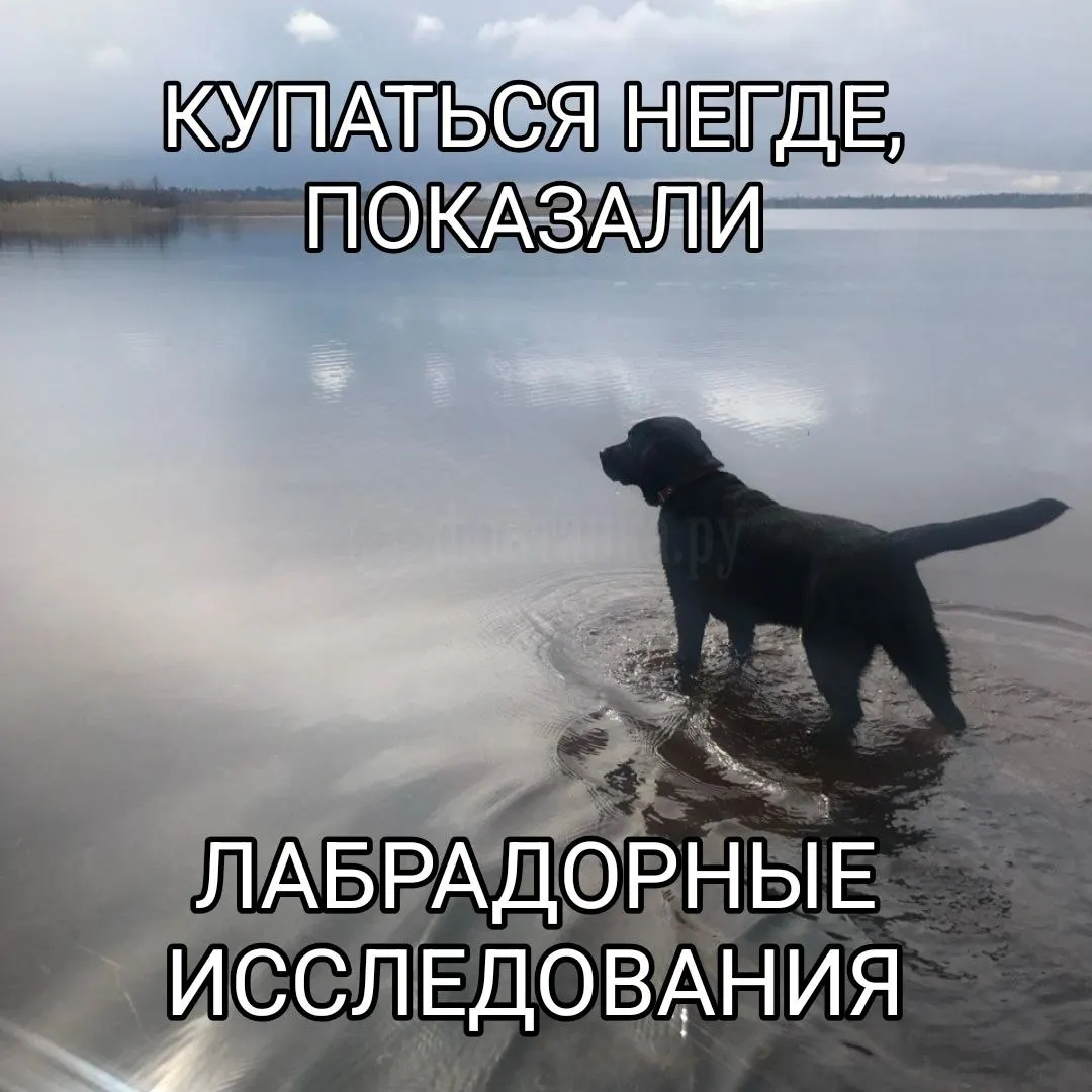 К 6 августа ни один водоём не соответствует санитарным требованиям, сообщили в Роспотребнадзоре.
