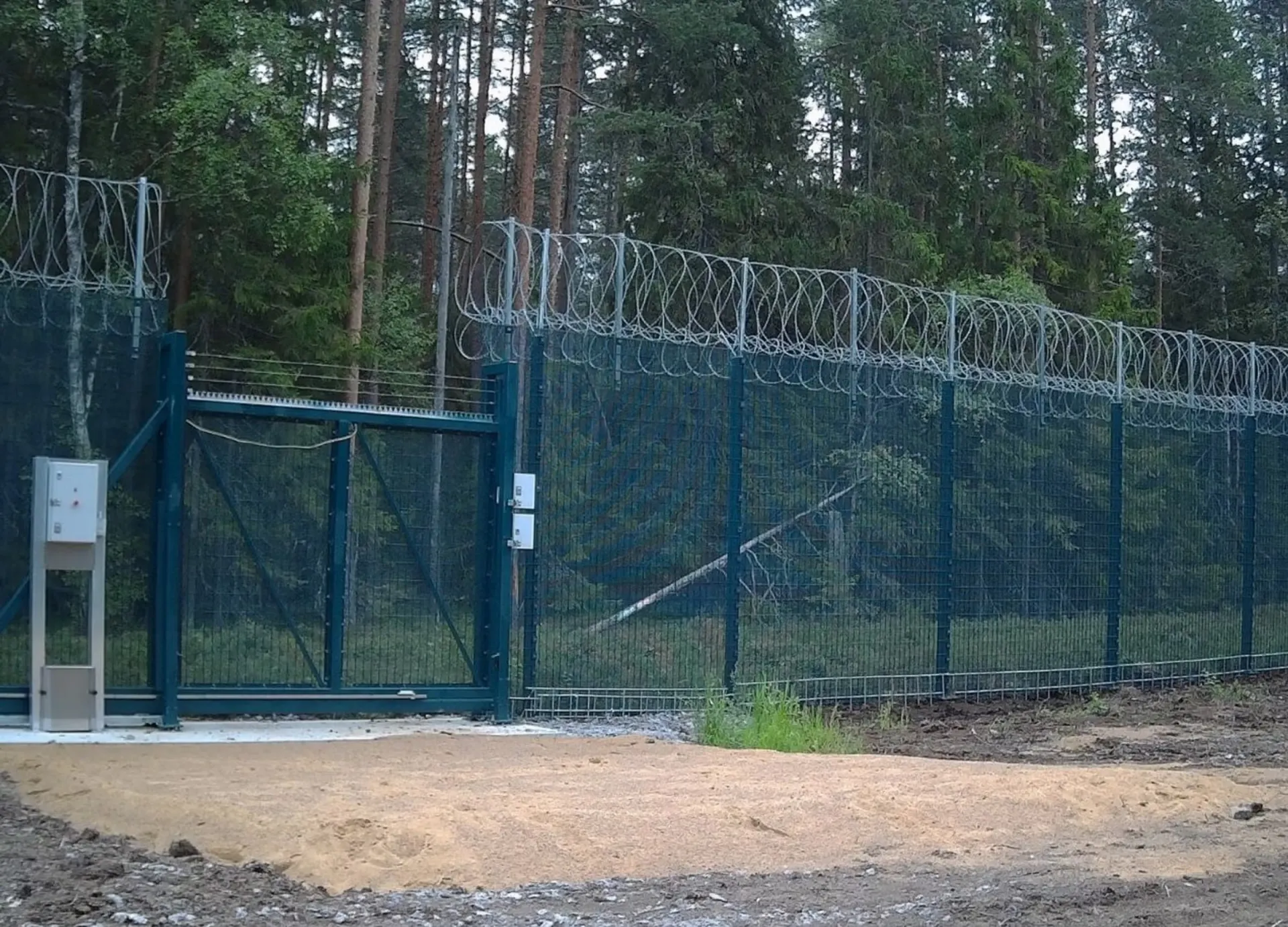 Из-за вспышки африканской чумы свиней кабаны оказались заблокированы на границе между Финляндией и Ленинградской областью; обсуждаются меры по защите границы, включая заграждения.