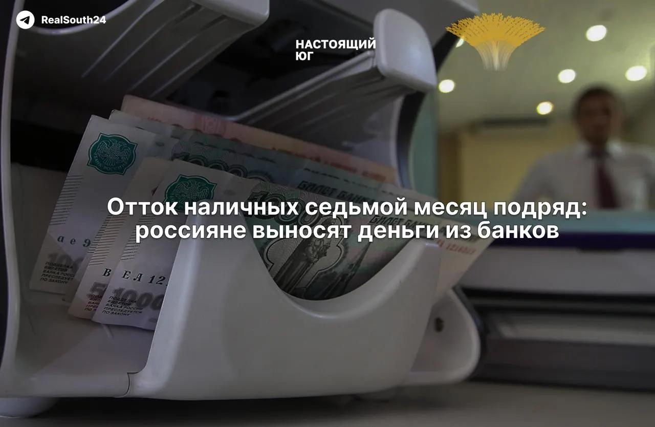 Наличные растут на фоне налоговой нагрузки и страха конфискации счетов; экономисты связывают это с перераспределением средств и нестабильностью банковского сектора.