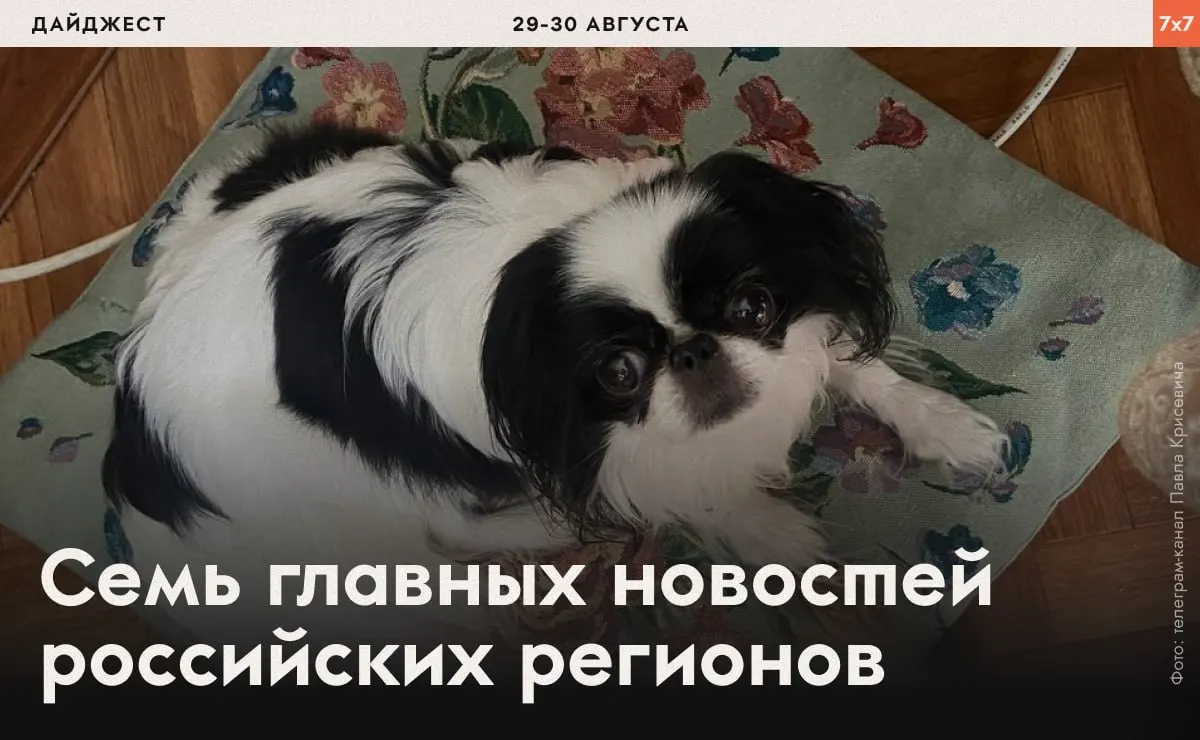По всей стране власти применяют репрессии к активистам, ограничивают агитацию и работу СМИ, растет число жалоб на действия правоохранительных органов.