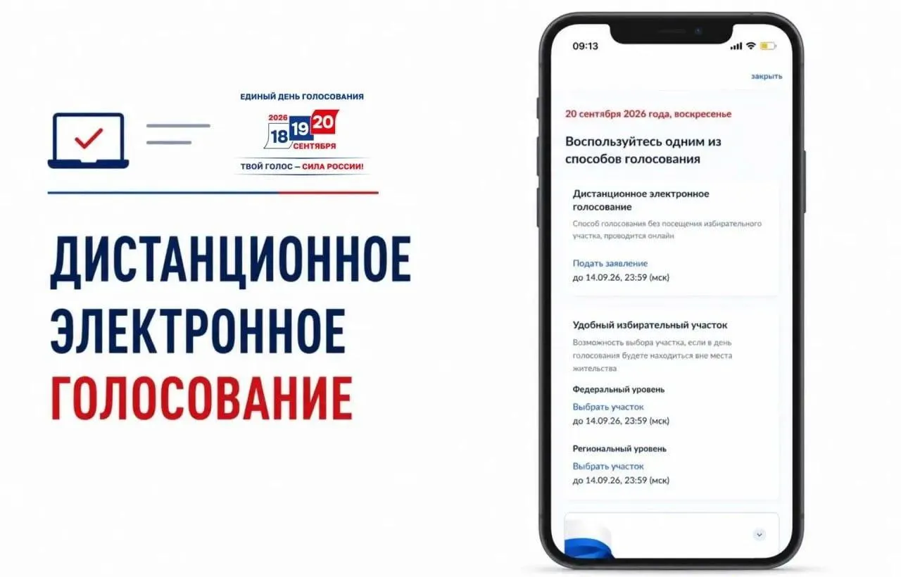 Открыта подача заявлений на участие в дистанционном электронном голосовании; обсуждаются вопросы прозрачности и риски манипуляций.