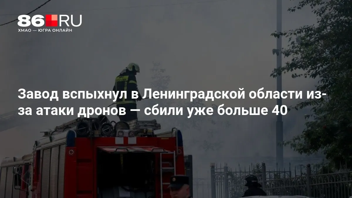 В Ленинградской области произошёл пожар на заводе после атаки беспилотников; по данным властей, сбито более 40 дронов, ещё некоторые двигались в сторону Москвы.