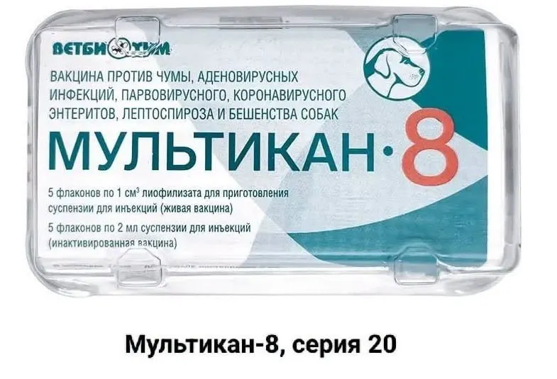 Владельцы собак, погибших после прививки вакциной «Мультикан-8», обратились к блогерам и журналистам с требованием провести независимую экспертизу и выяснить причины трагедии.