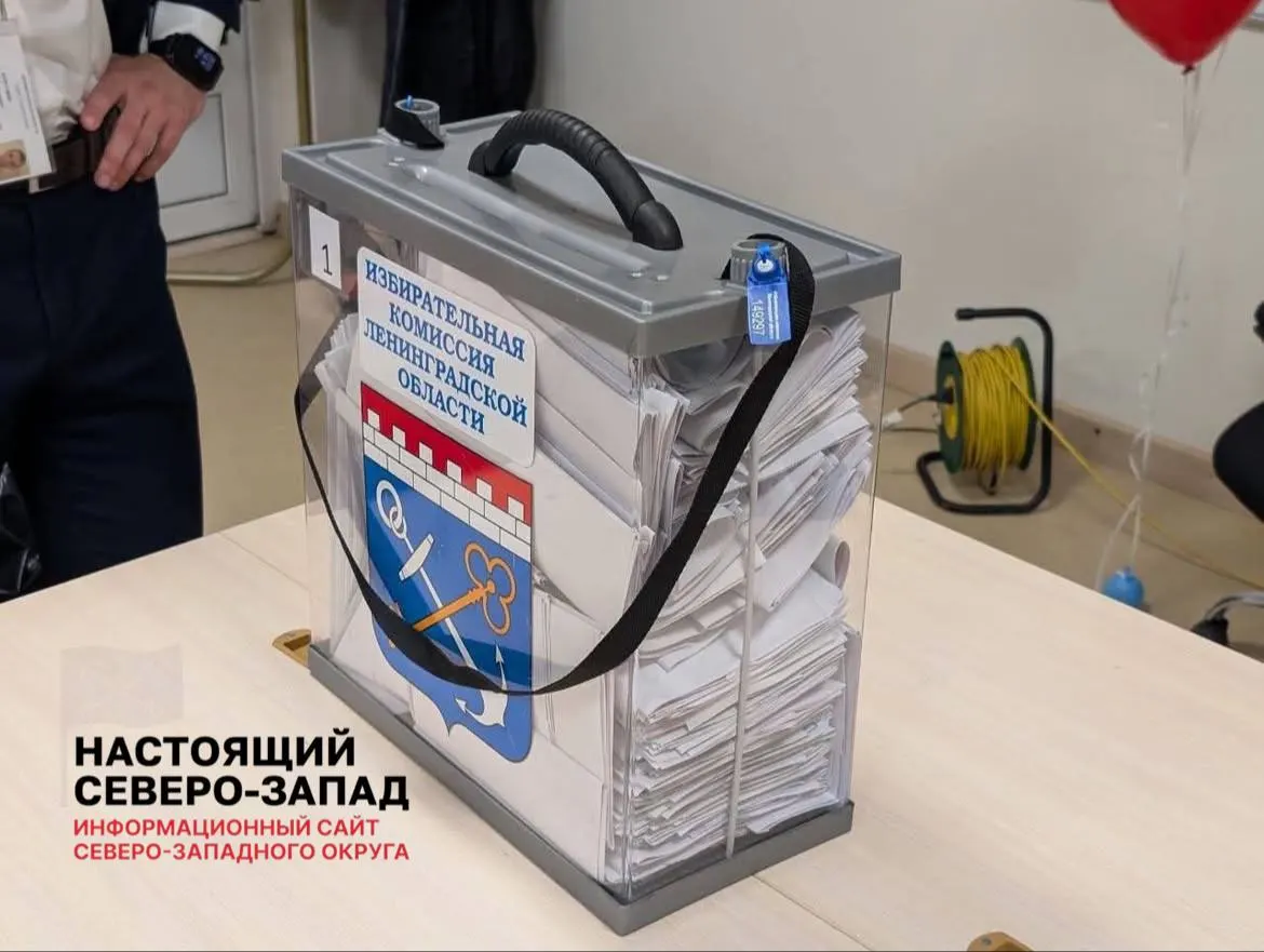 Наблюдатели зафиксировали необычное аккуратное размещение бюллетеней внутри переносных урн для голосования на дому, что вызывает вопросы.