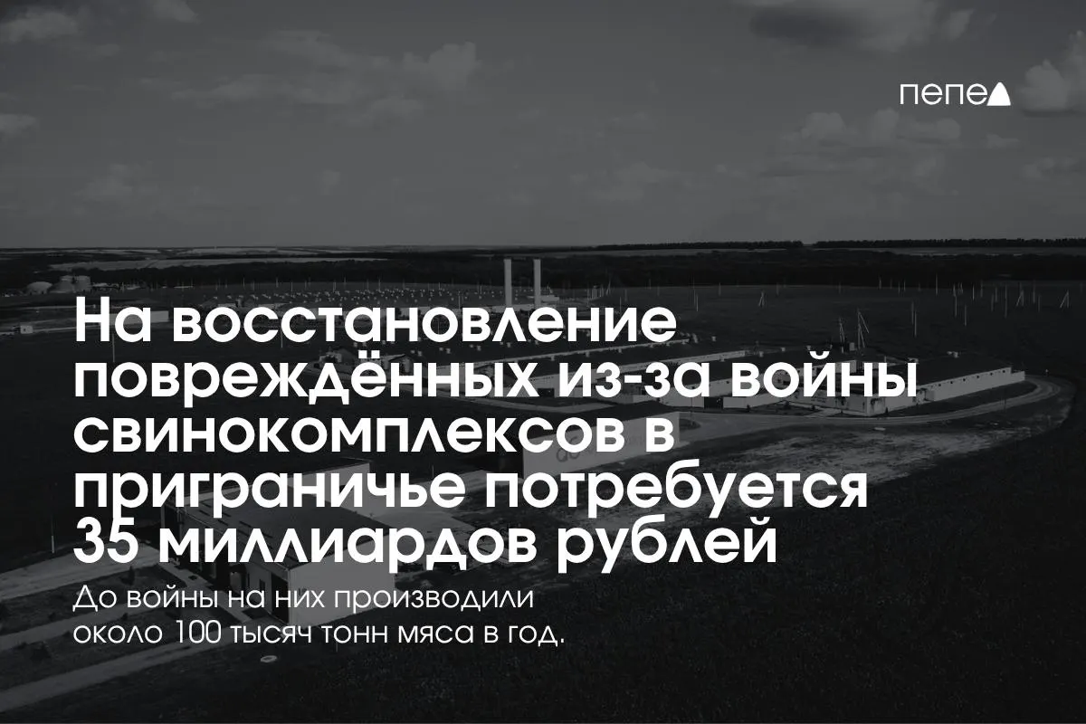 На пресс-конференции обсудили траты на безопасность и восстановление после обстрелов в Белгородской, Курской и Брянской областях.
